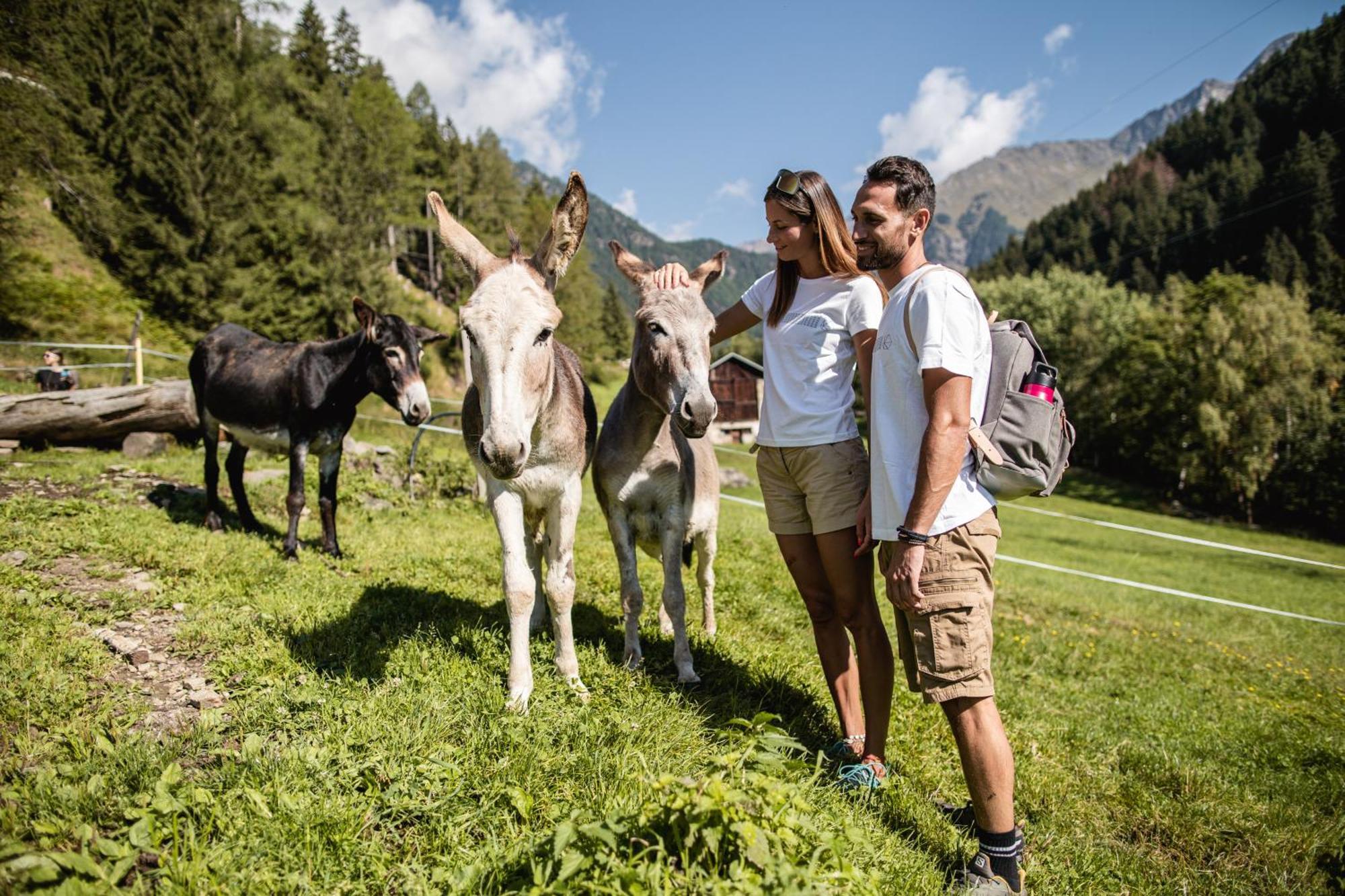 Hotel Kristiania Pure Nature &