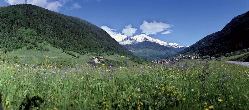 Kristiania Pure Nature & 4*